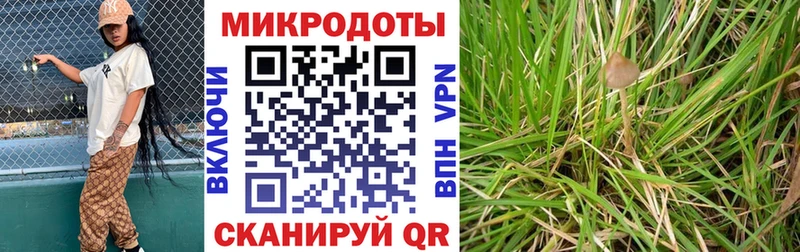 Псилоцибиновые грибы мухоморы  Покров 